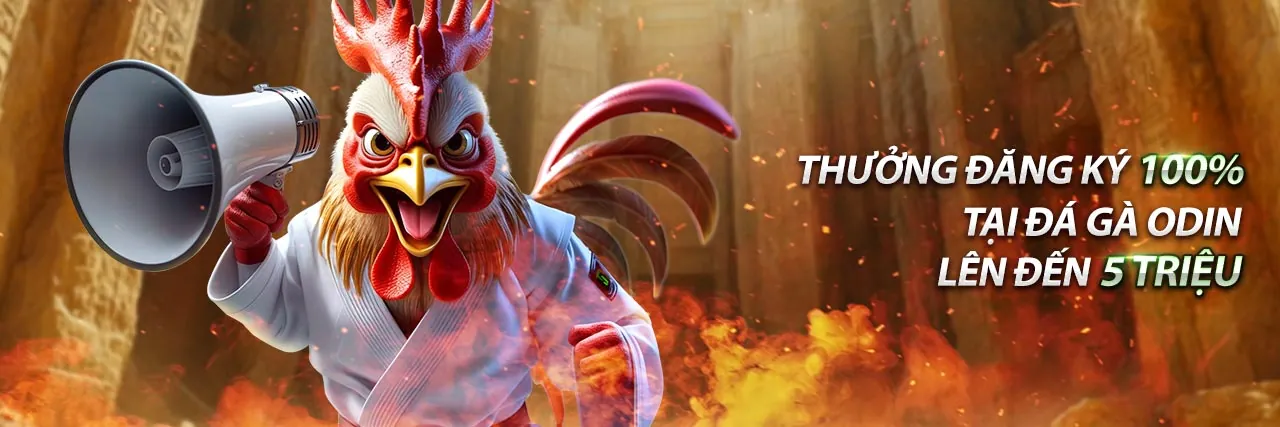 Đá gà trực tuyến Kèo Nhà Cái với các trận đấu kịch tính