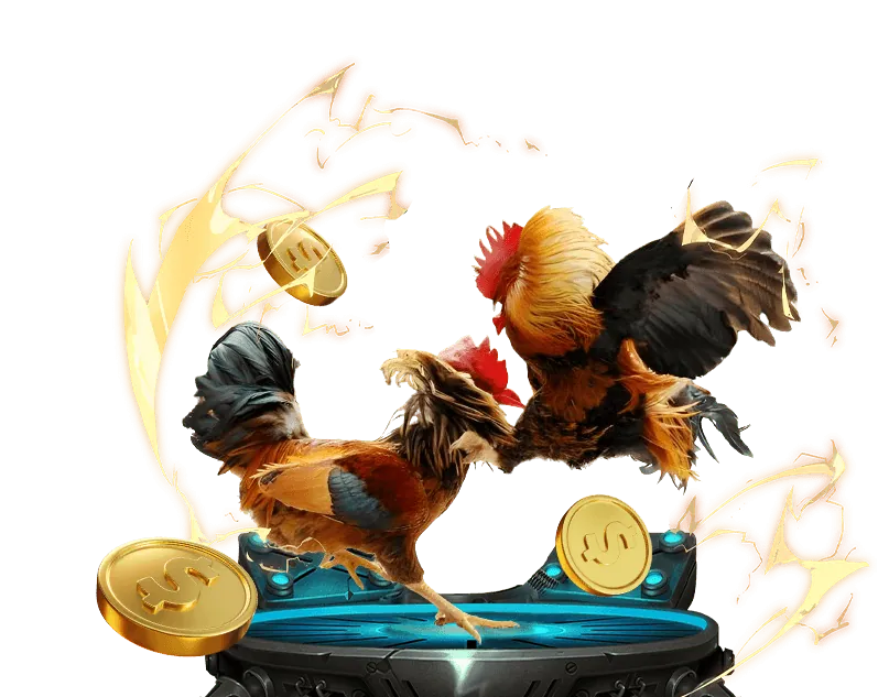 Tổng quan về tỷ lệ cá cược và phân tích dữ liệu