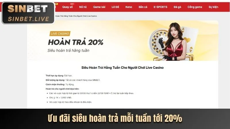 Chương trình VIP và thưởng thành viên thân thiết